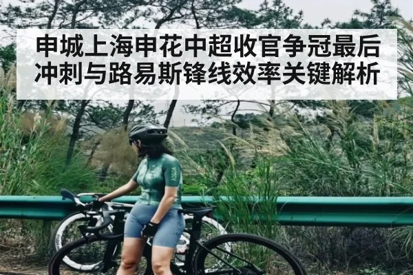 申城上海申花中超收官争冠最后冲刺与路易斯锋线效率关键解析